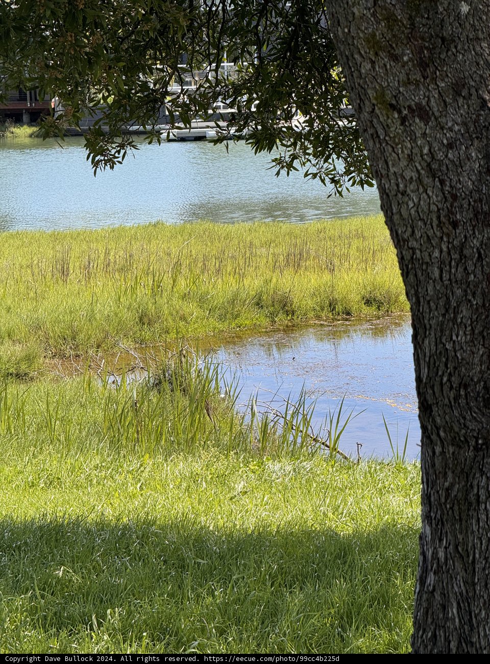 Tranquility at Piper Park