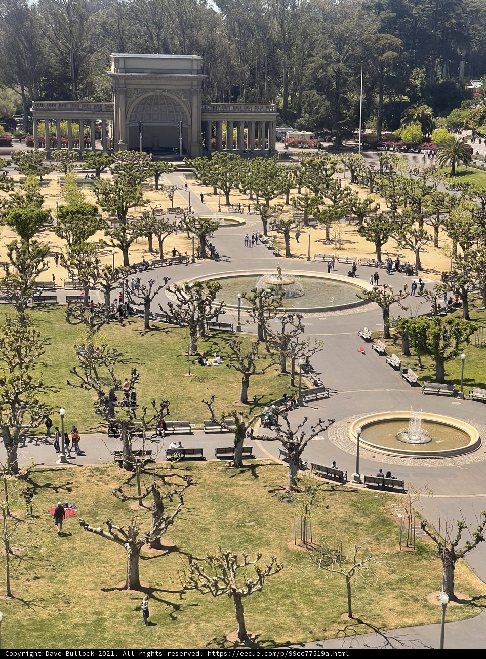 Serenity in the Heart of the City