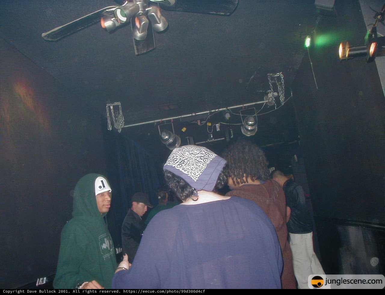 Spotlit Clubgoers