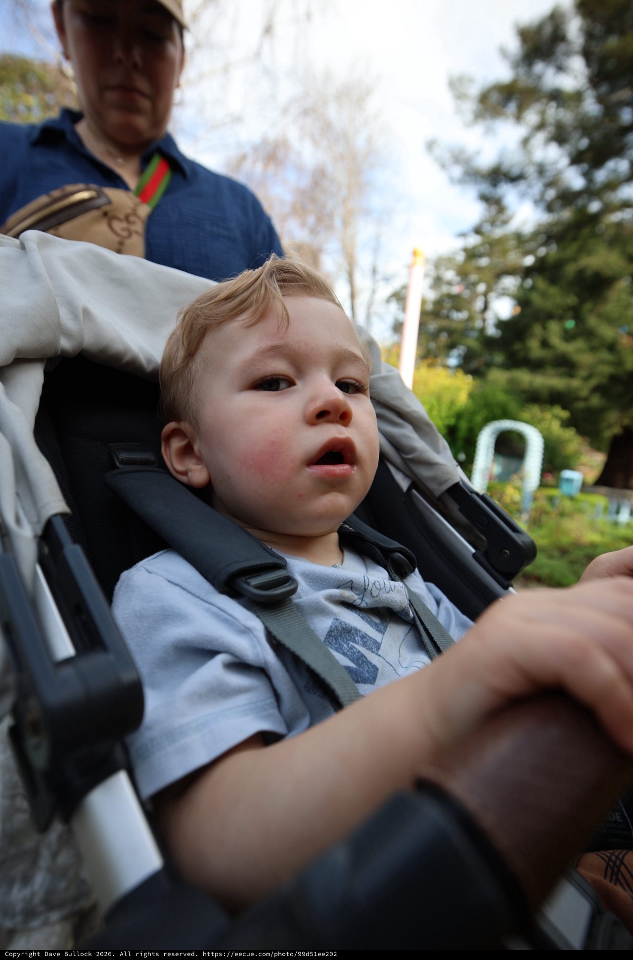 Young Child in Stroller at Outdoor Park Setting