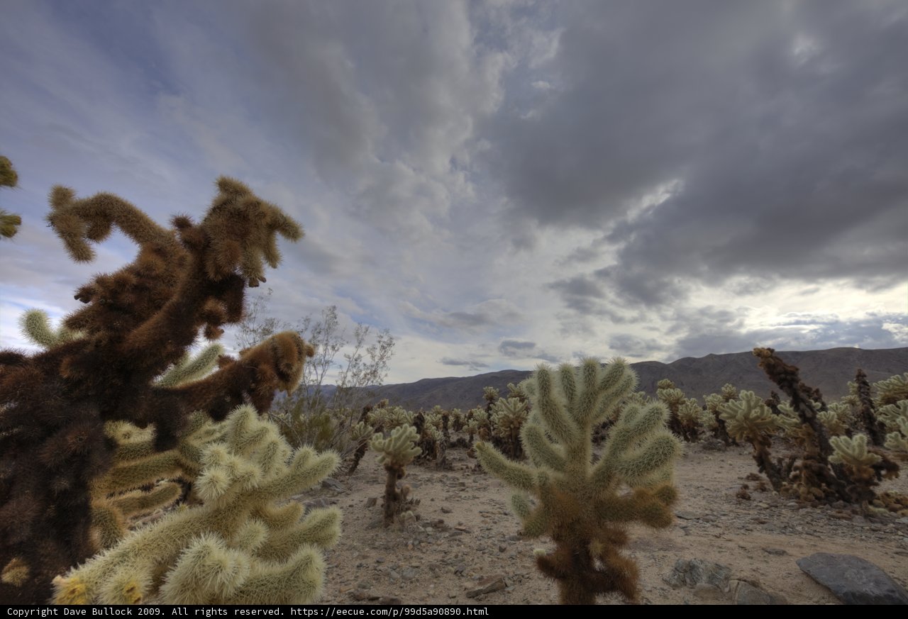 Majestic Desert Landscape