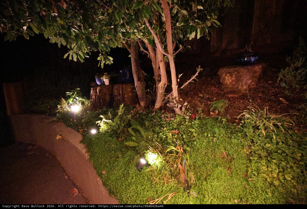 Nighttime Garden Path with Illuminated Landscaping