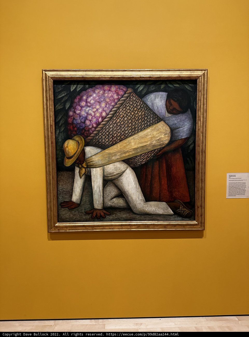 Fruit Carriers