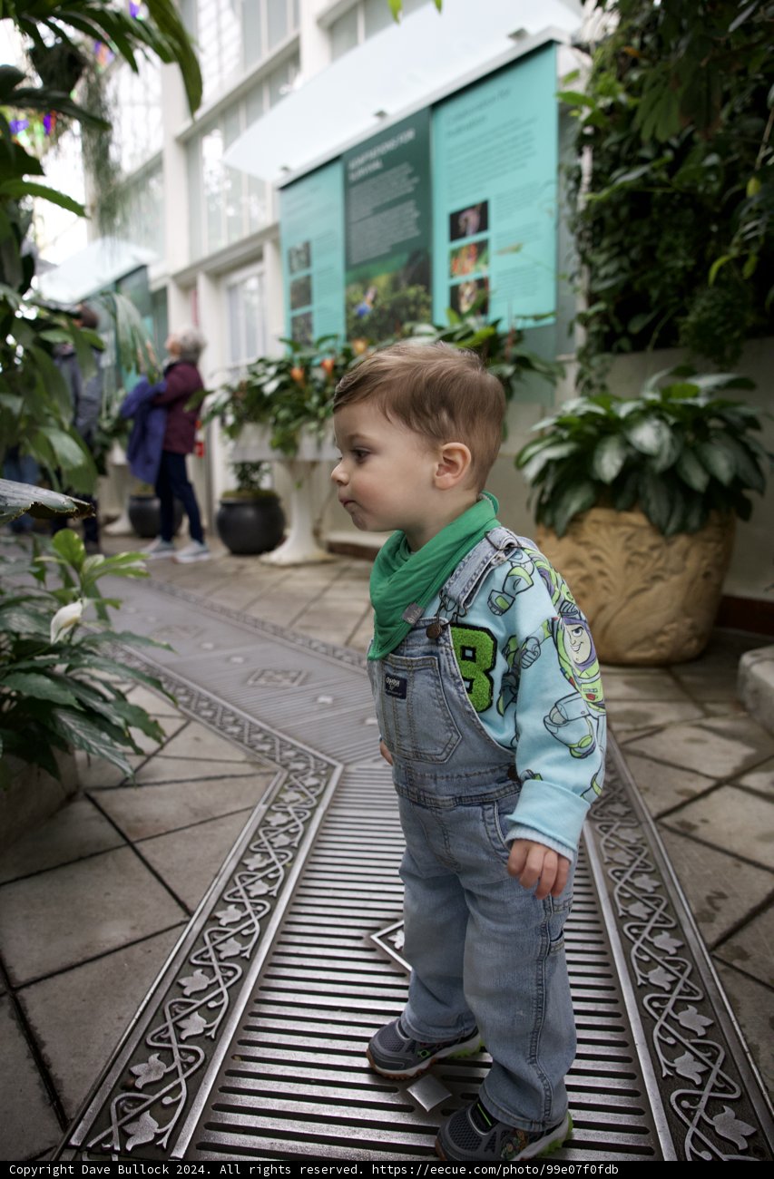 Youthful Explorations in the Gardens of Golden Gate”