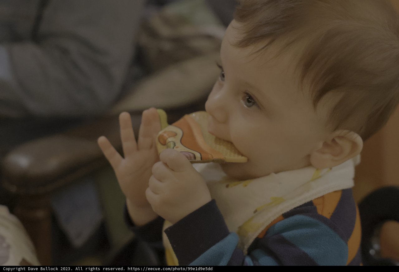 Wesley's First Sandwich