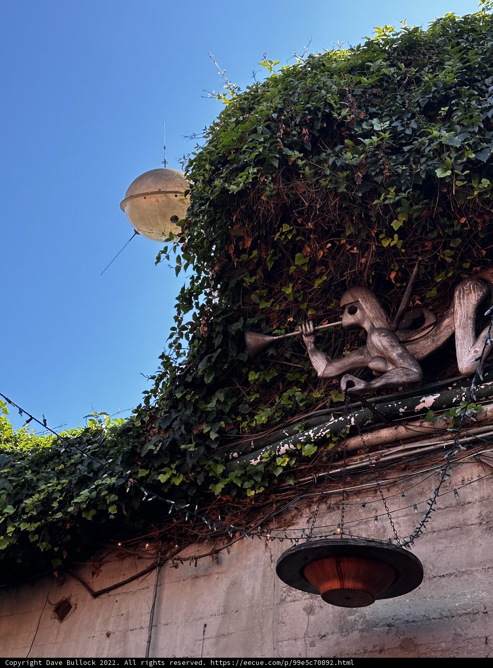The Ivy-Covered Guardian