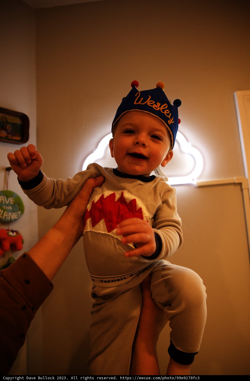 King for the Day: Wesley's First Birthday Celebration