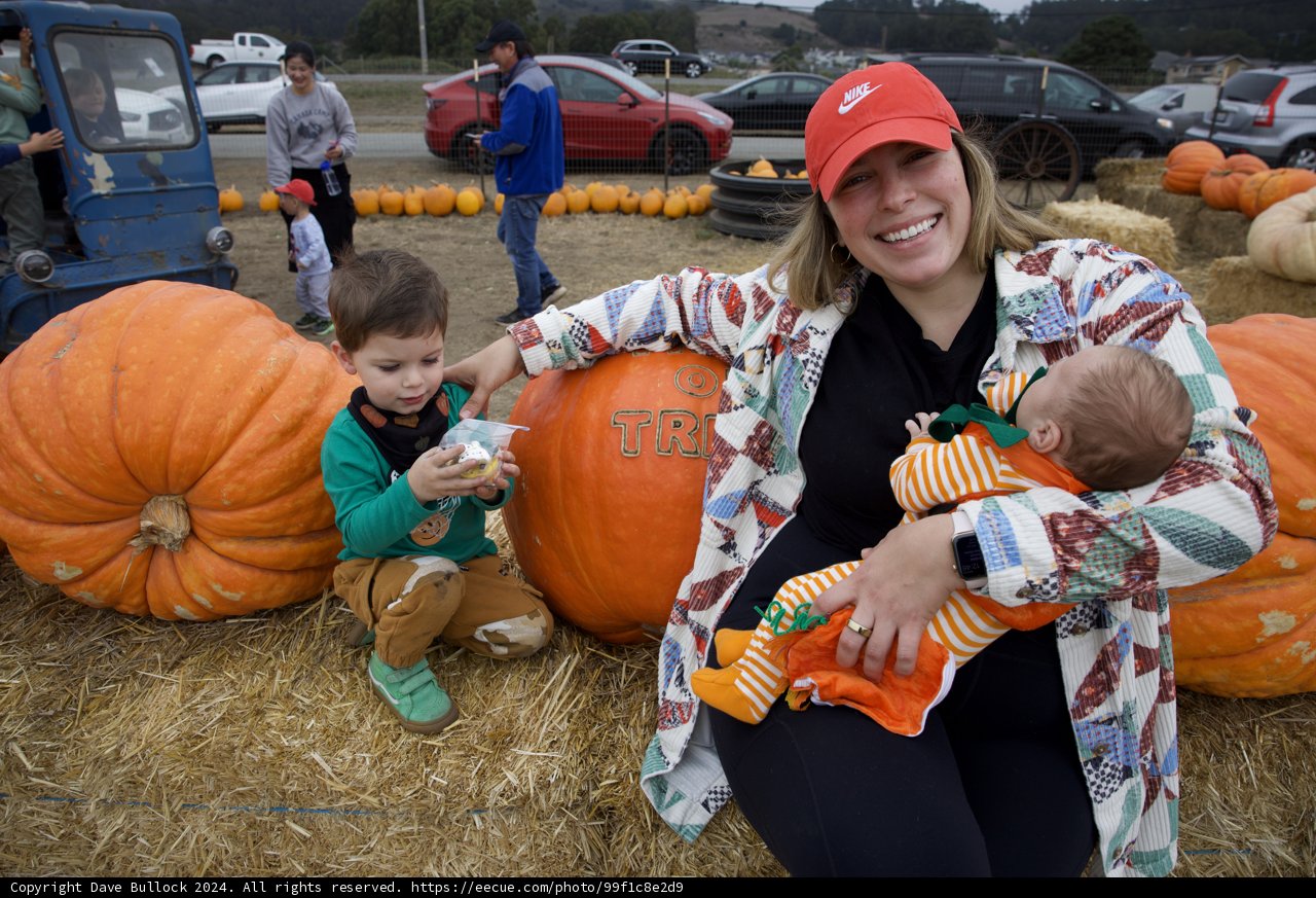 Autumn Harvest Joy