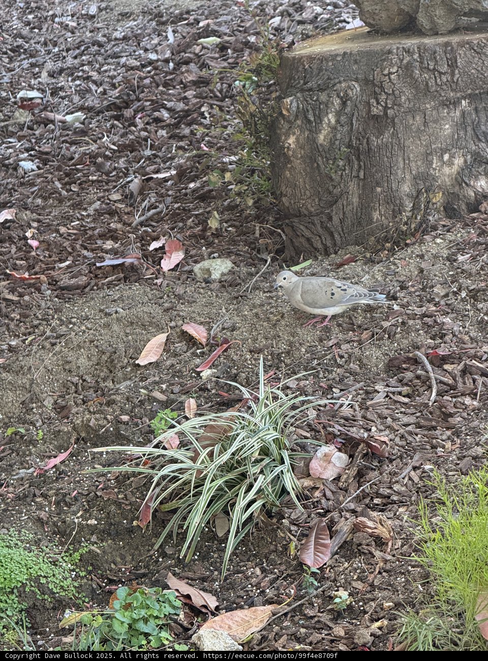 Nature's Resting Spot