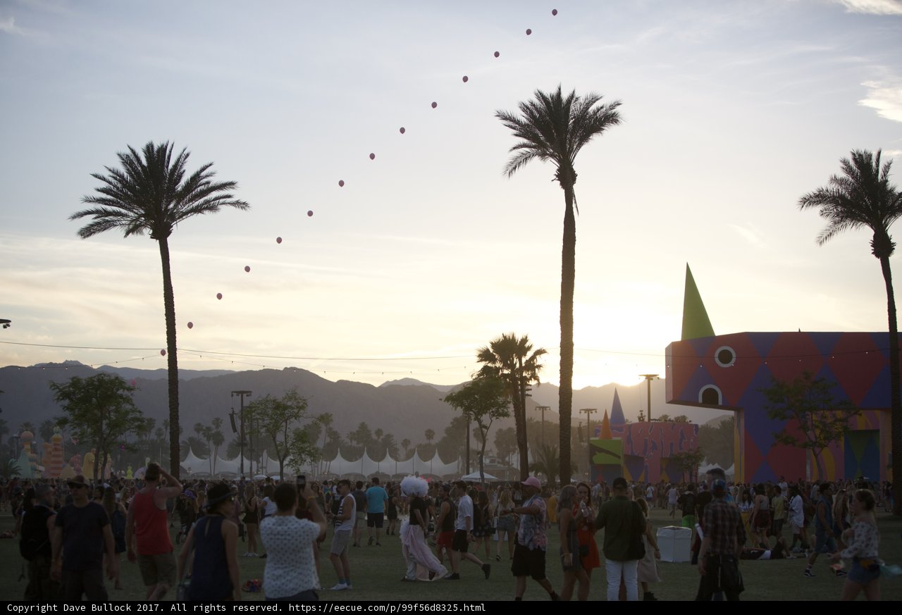 Palm Trees and People at Coachella Festival
