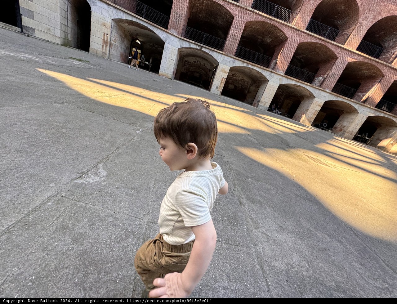 Wesley's Adventure in Fort Point Courtyard