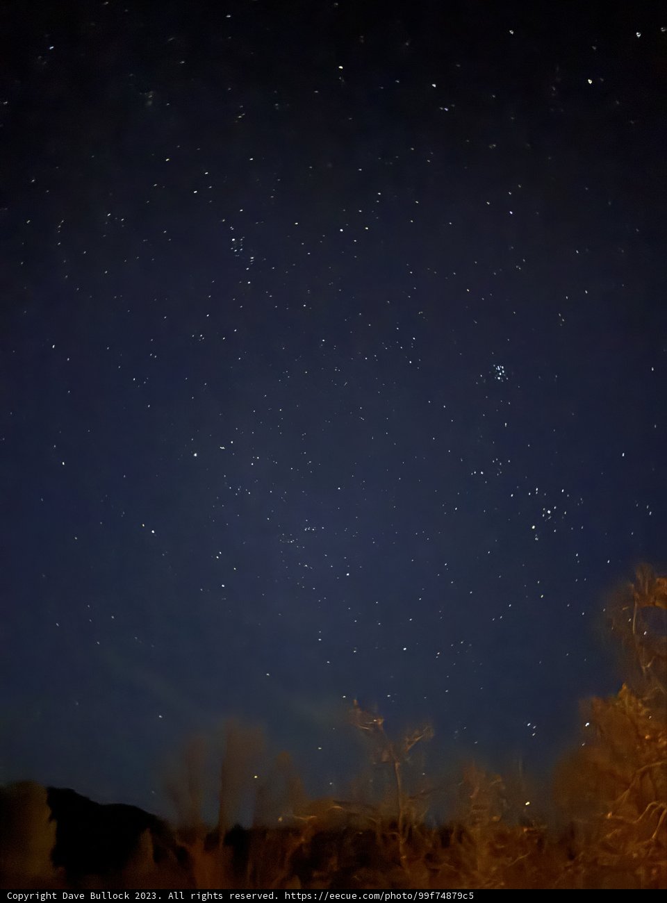 Celestial Symphony on a December Night