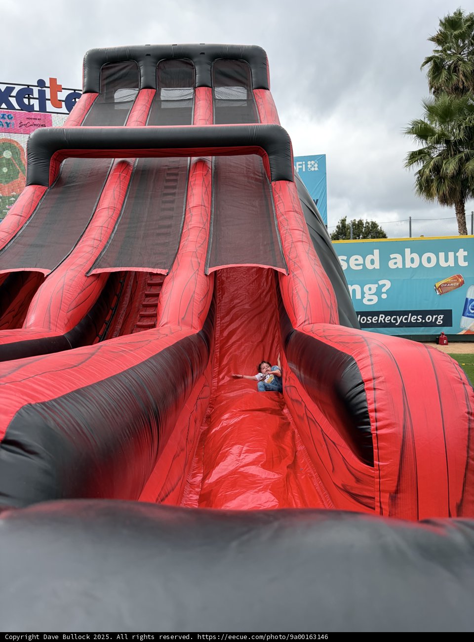 Thrills and Slides at Excite Ballpark