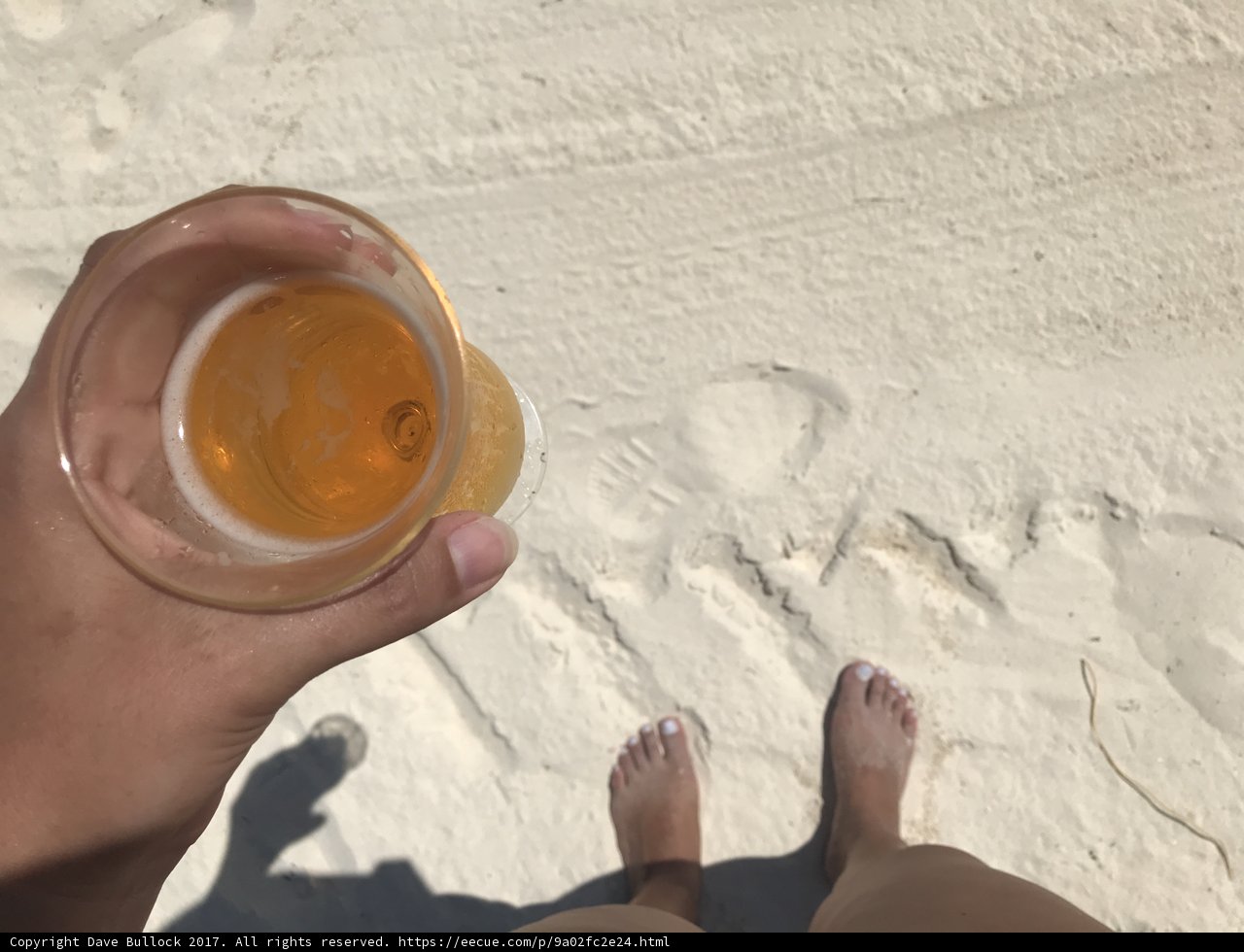 Beach Brews