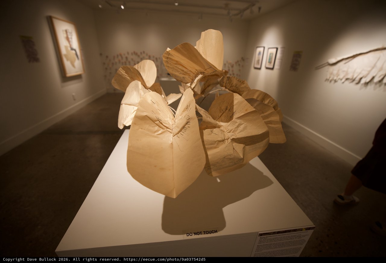 Abstract Wooden Sculpture in Contemporary Art Gallery
