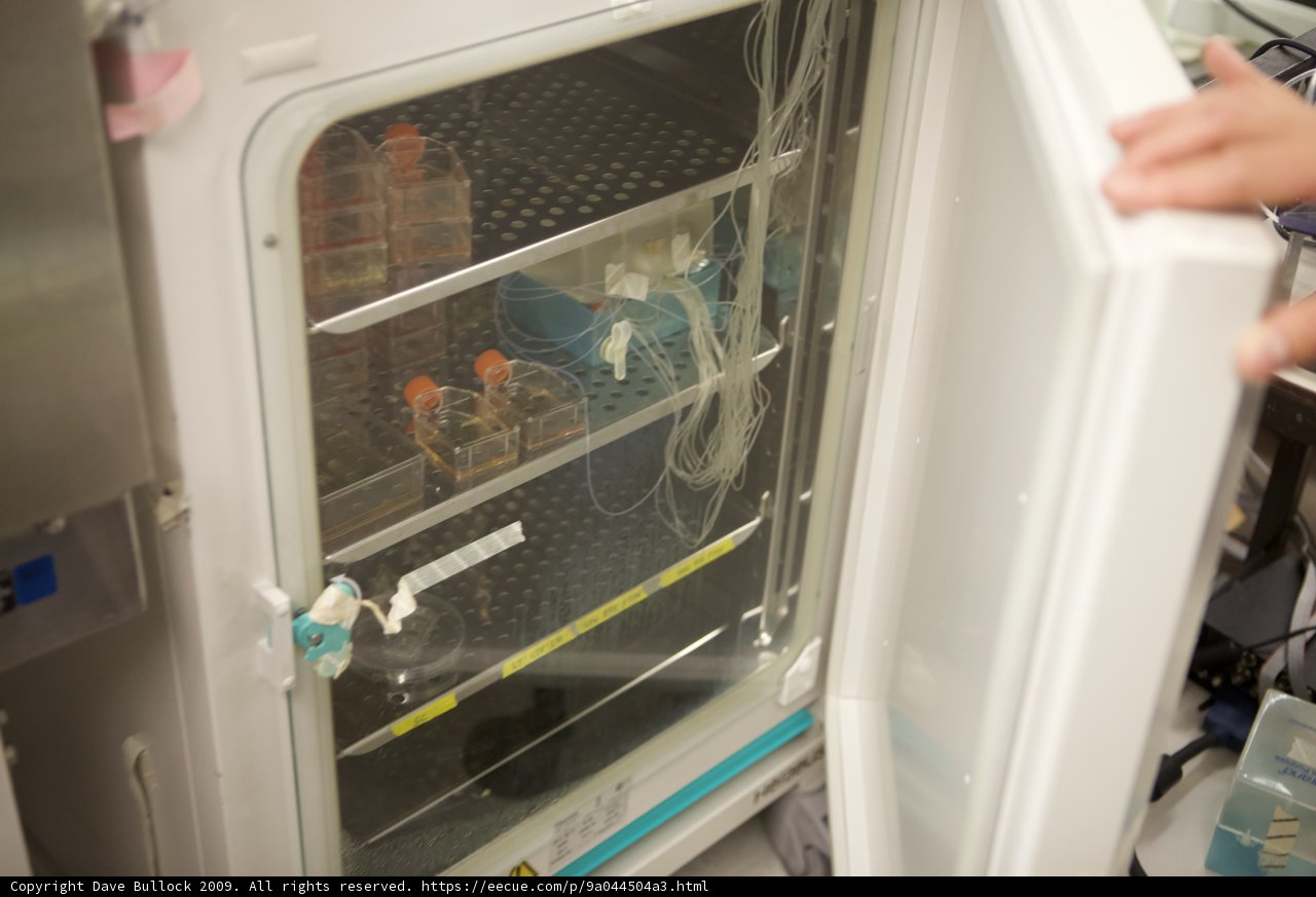 Fridge Gazer