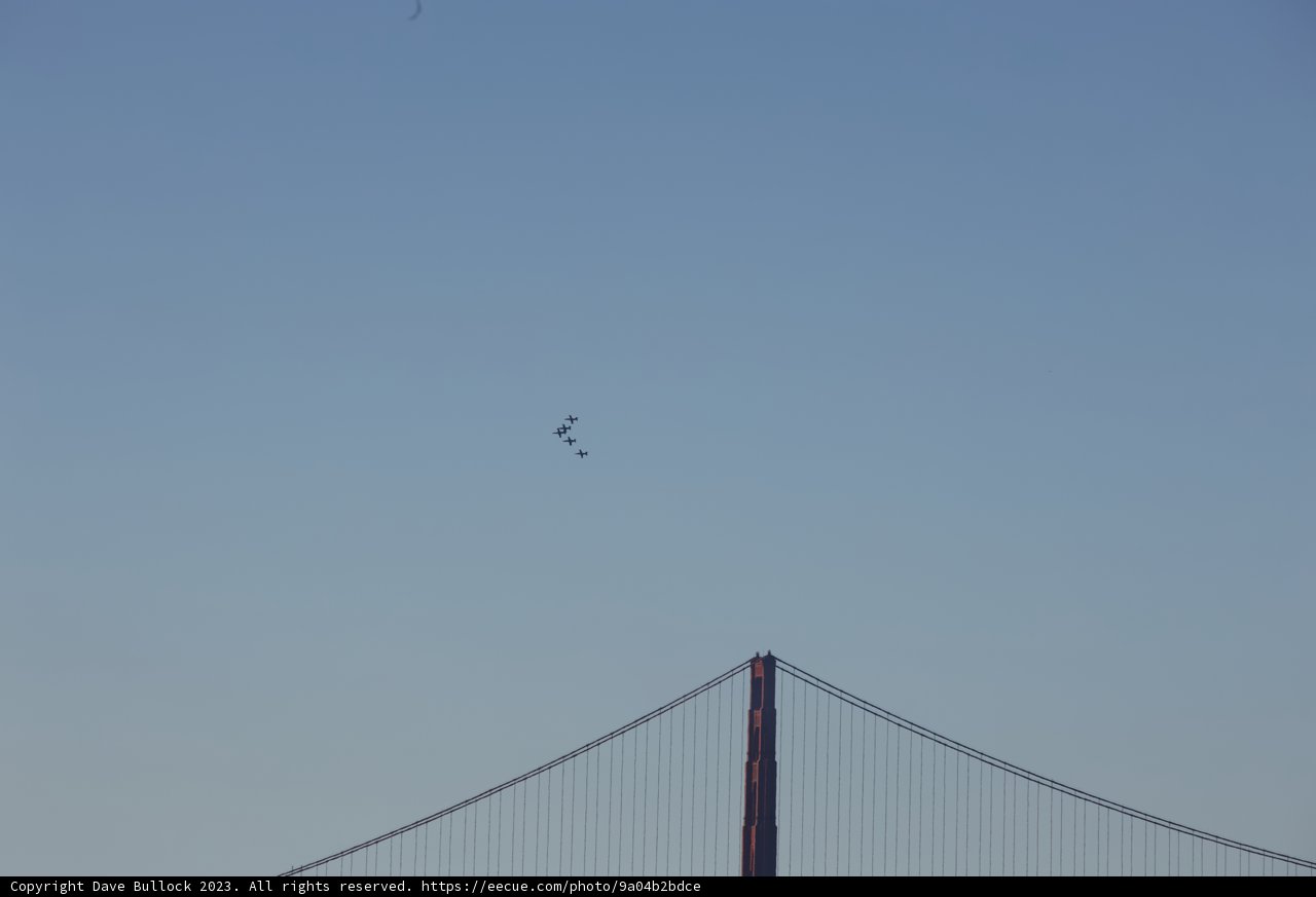 Soaring Free Above The Iconic Golden Gate