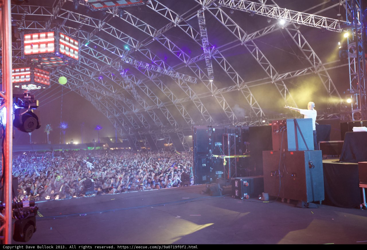Coachella Crowd Vibes