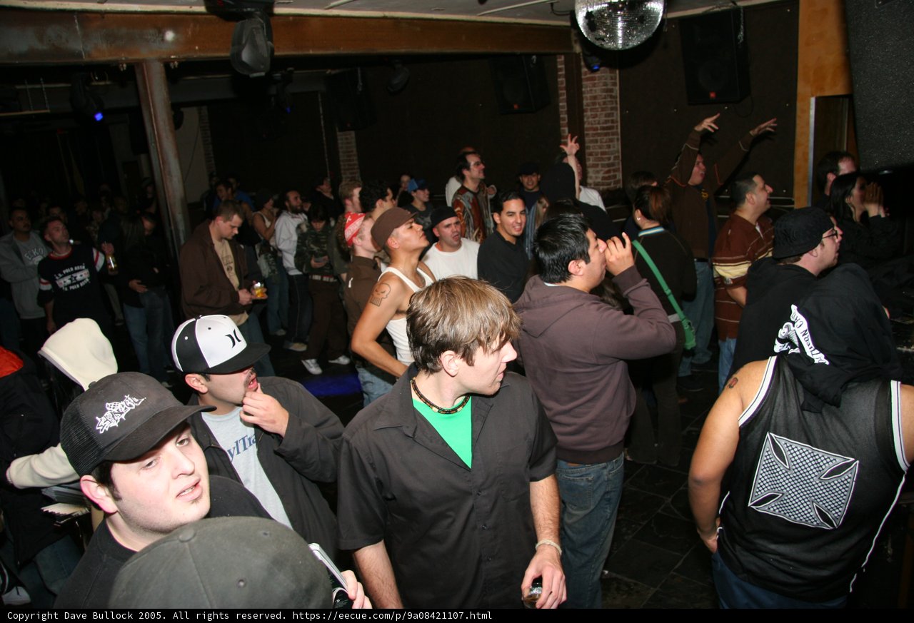 Nightlife Gathering