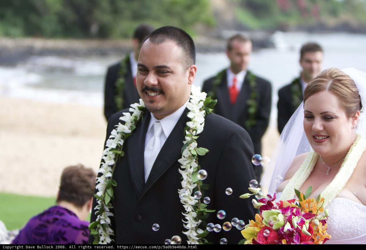 Hawaiian Wedding Bliss