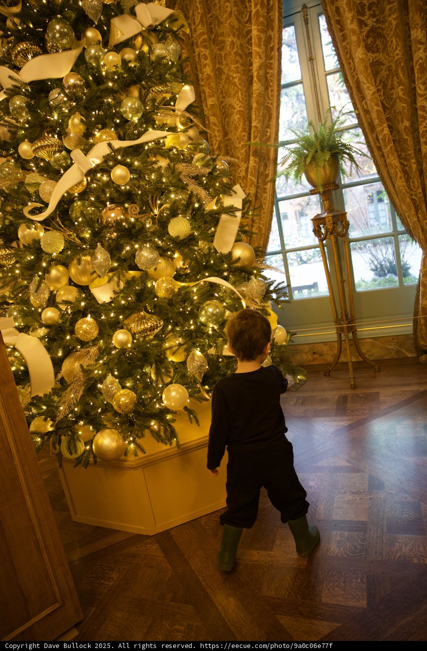 Enchanted By Holiday Lights