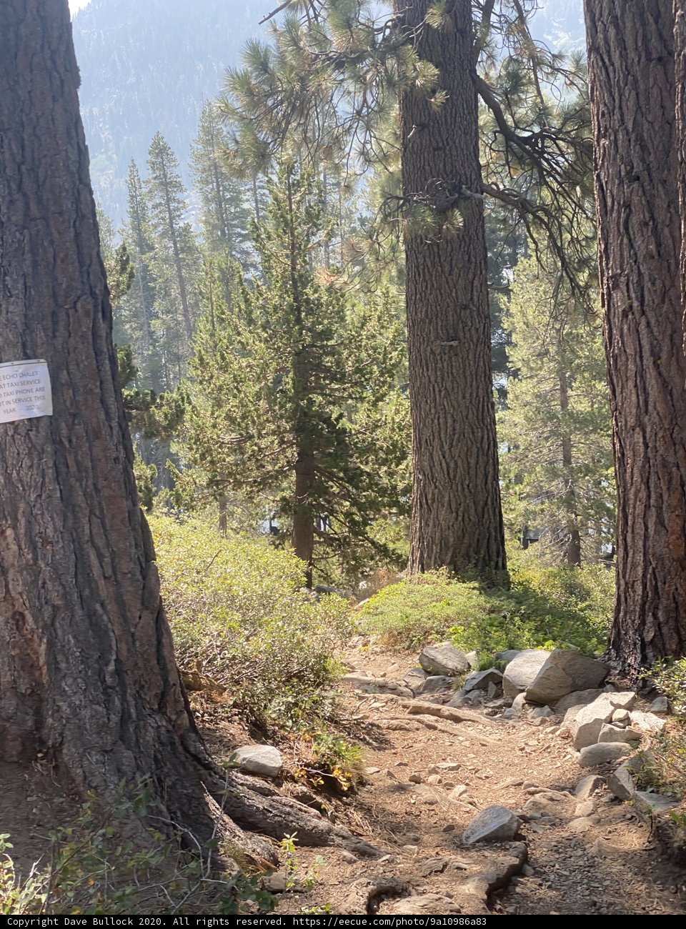 Into the Wild