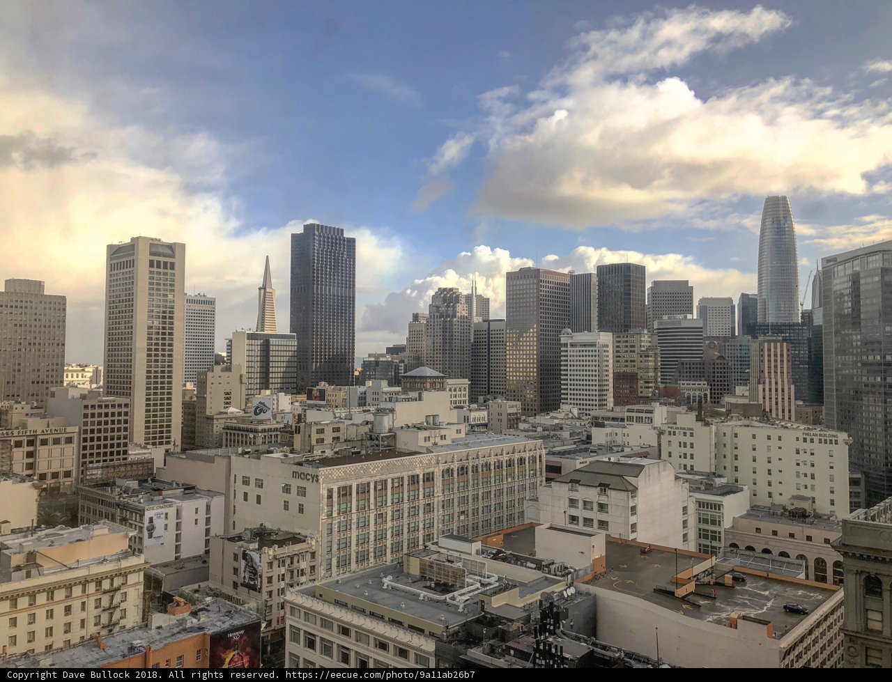 Aerial View of San Francisco's Cityscape
