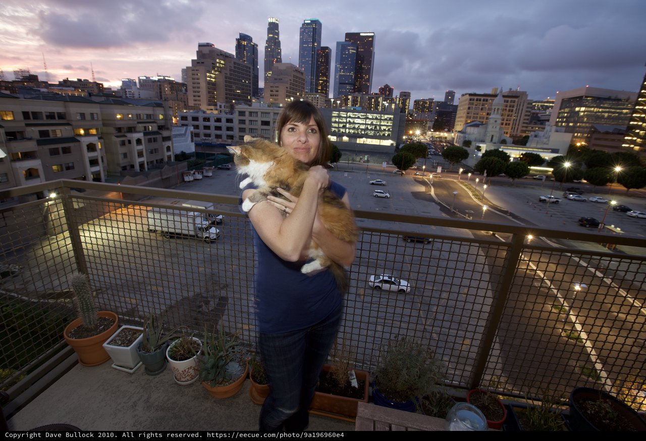 City Cat Lady on Downtown Los Angeles Rooftop at Dusk