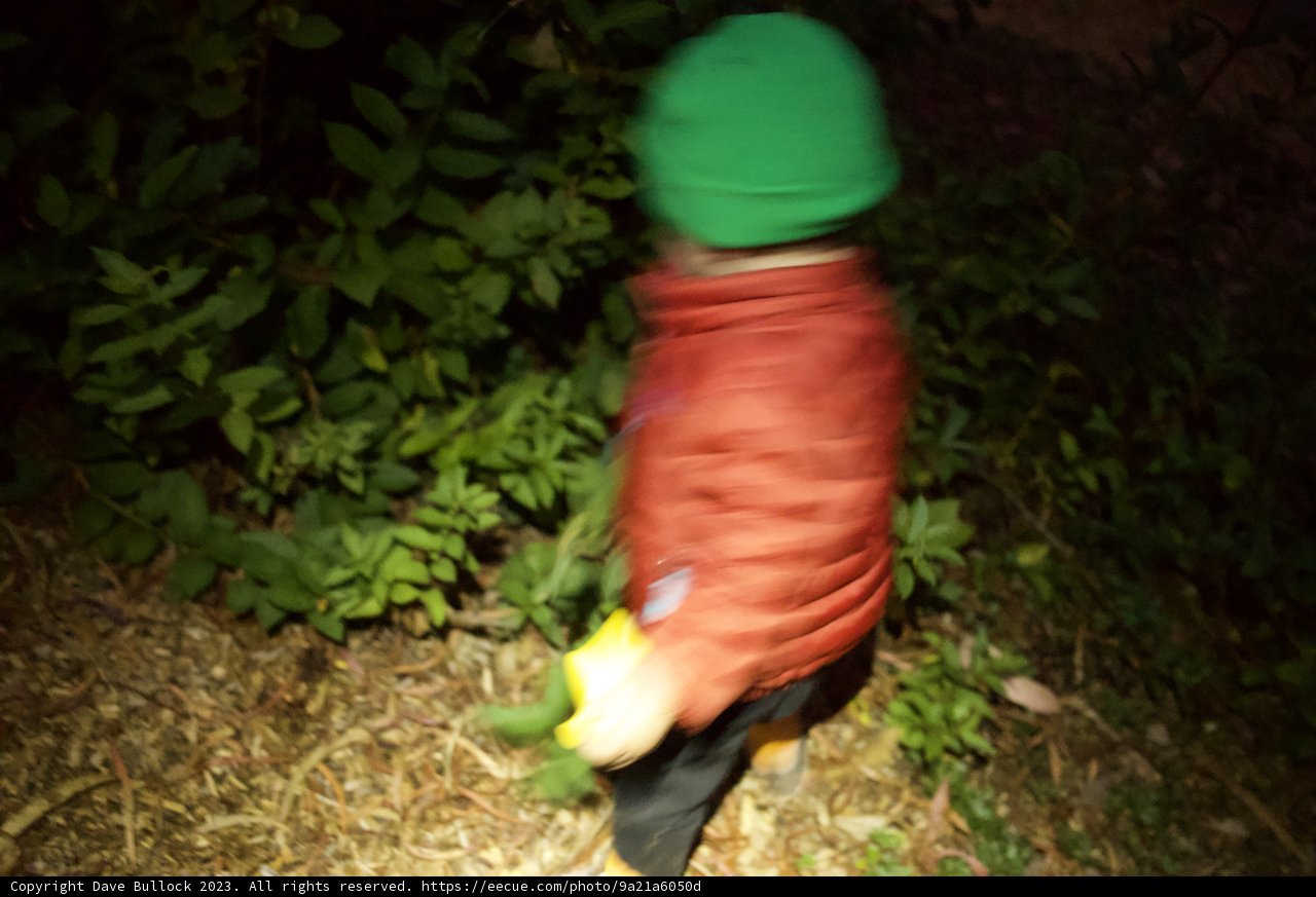 Little Explorer's First Journey