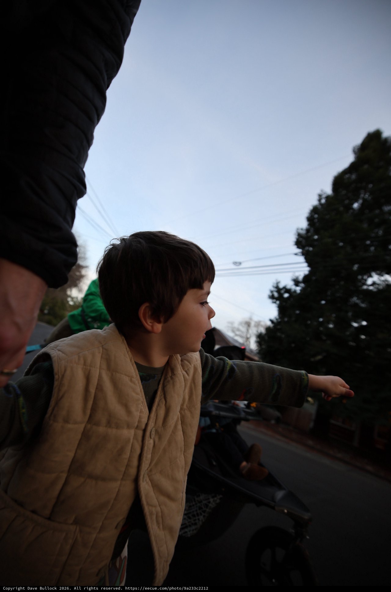 Child Gazing Forward During Evening Walk