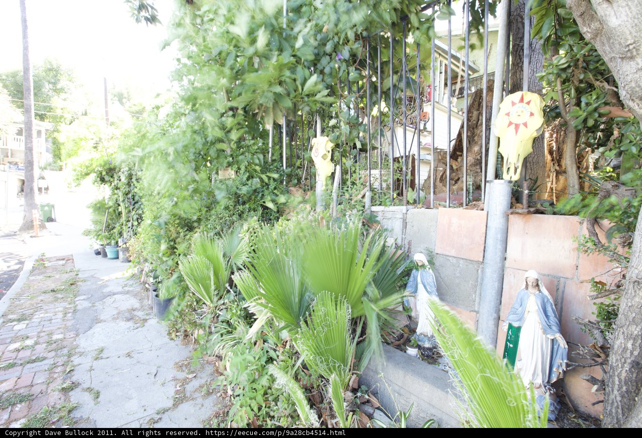 A Serene Walk in the Garden