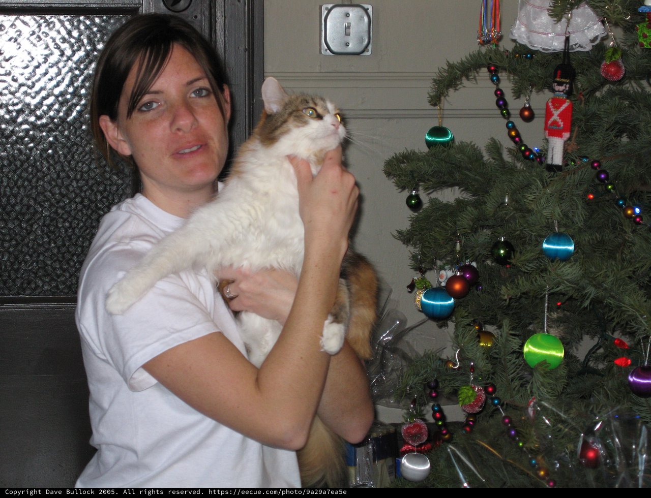 Woman Holds Cat Beside Decorated Christmas Tree