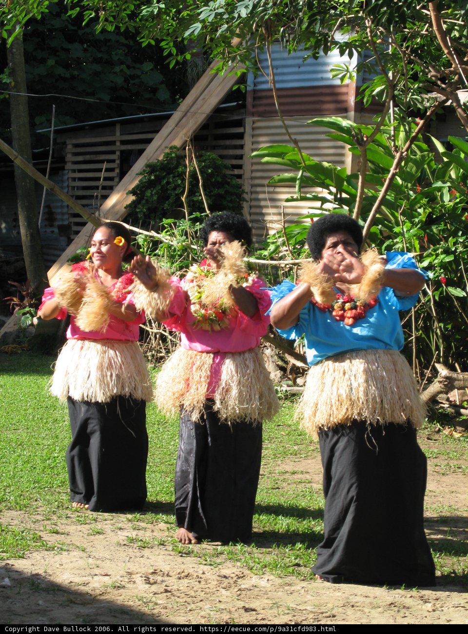 Grass Skirt Hula Dance