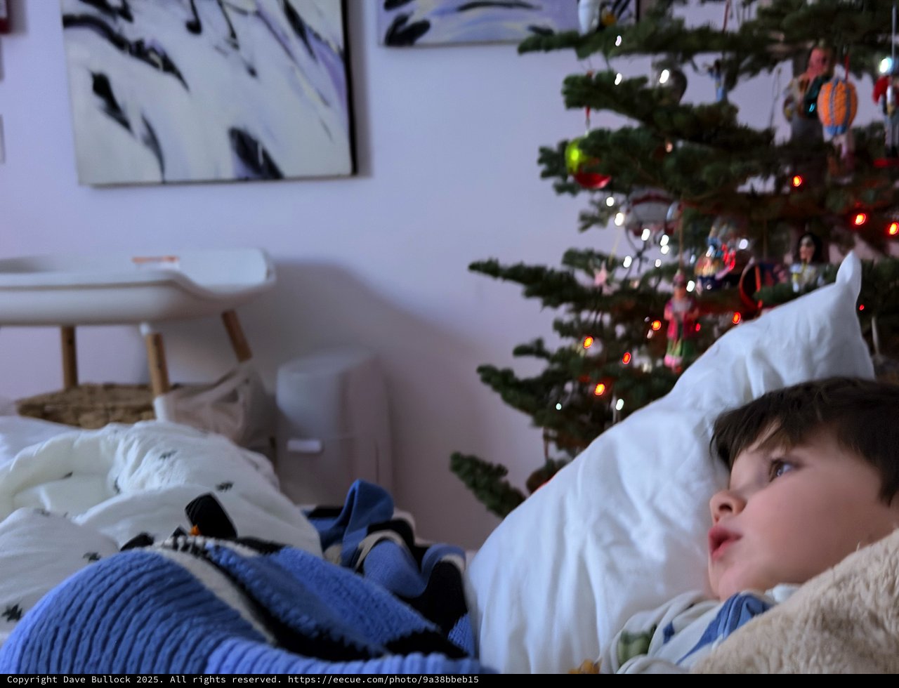 Child Gazing at Christmas Tree on Winter Morning