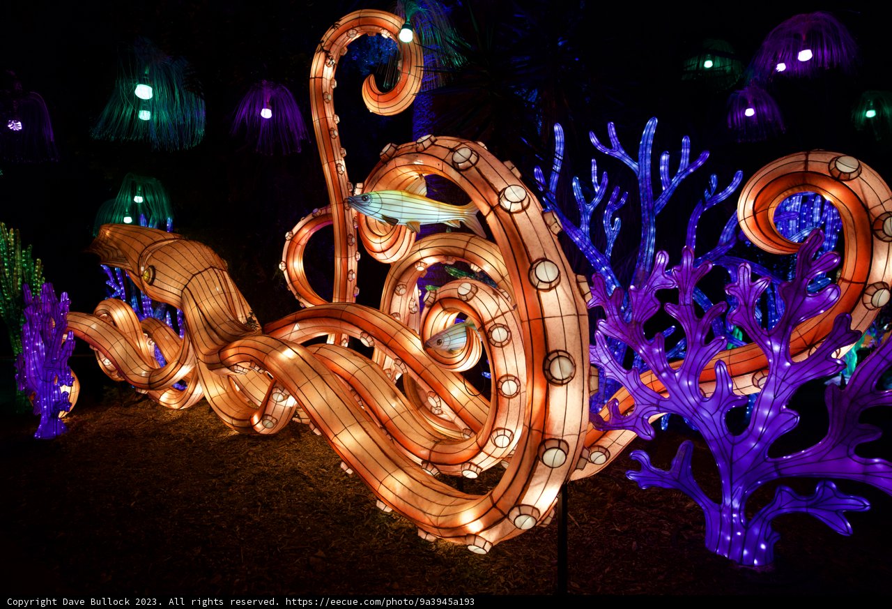 Illuminated Nightlife at Glowfari, Oakland Zoo, 2023