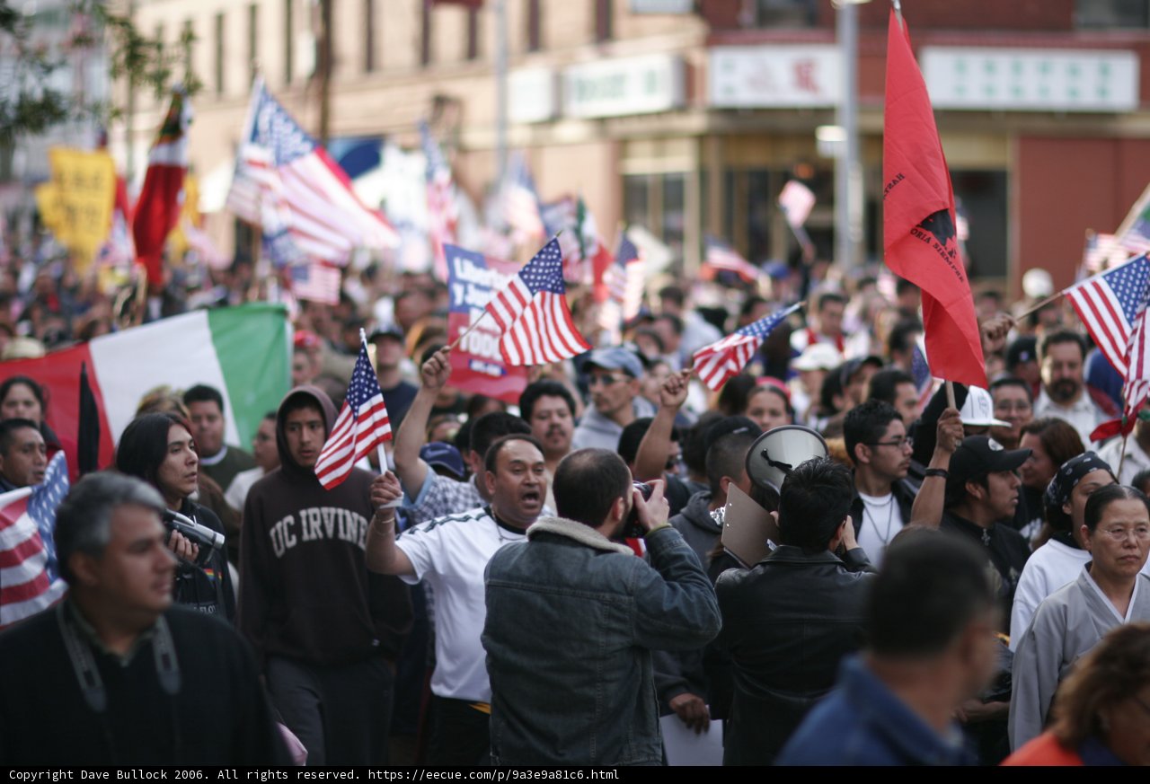 Unity in Diversity