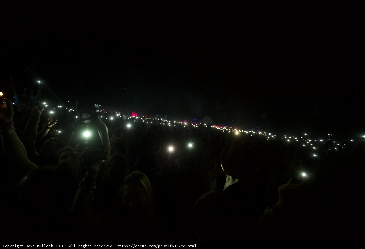 Illuminated Audience at Coachella