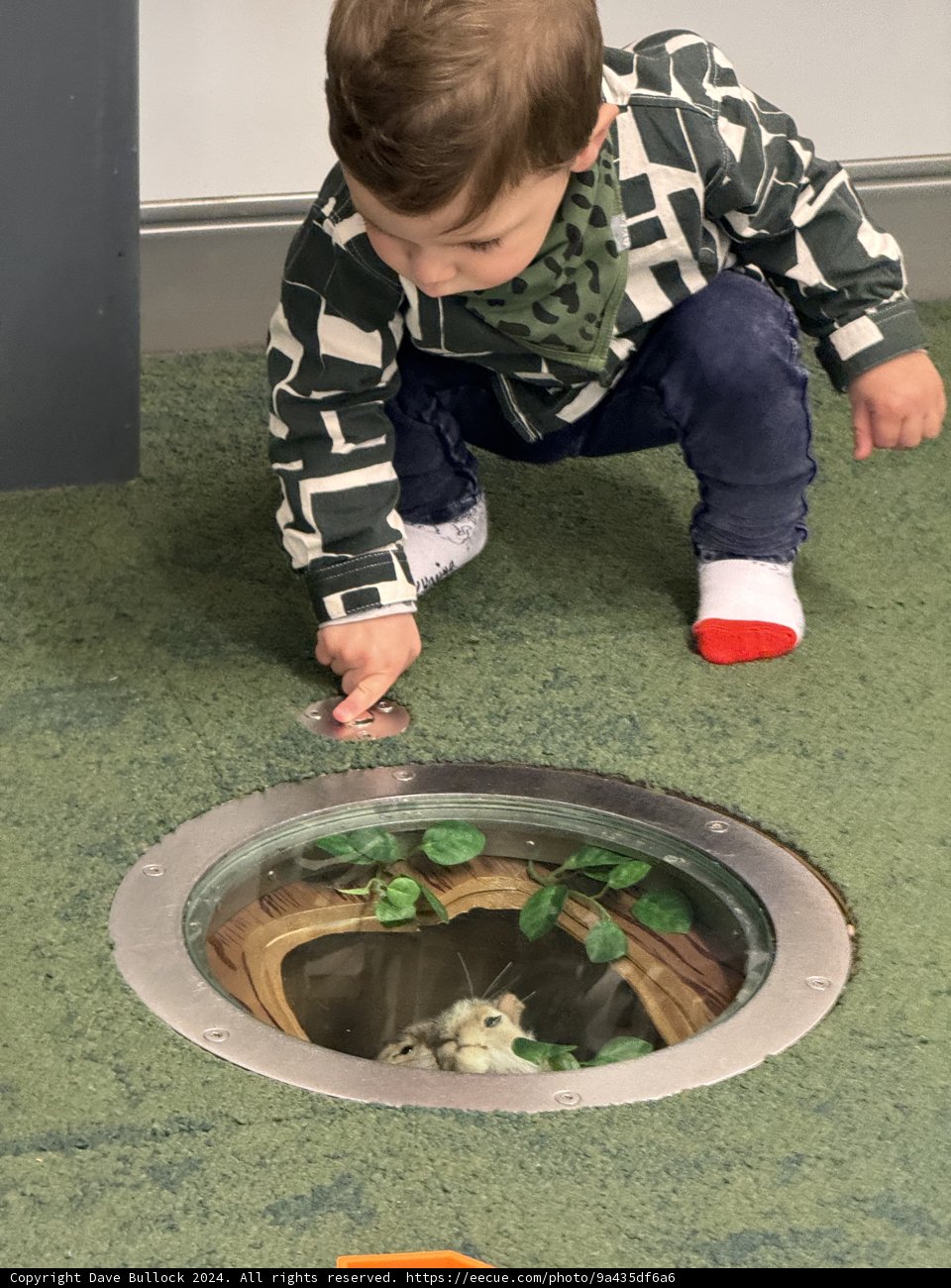 Child's Play at The Thinkery