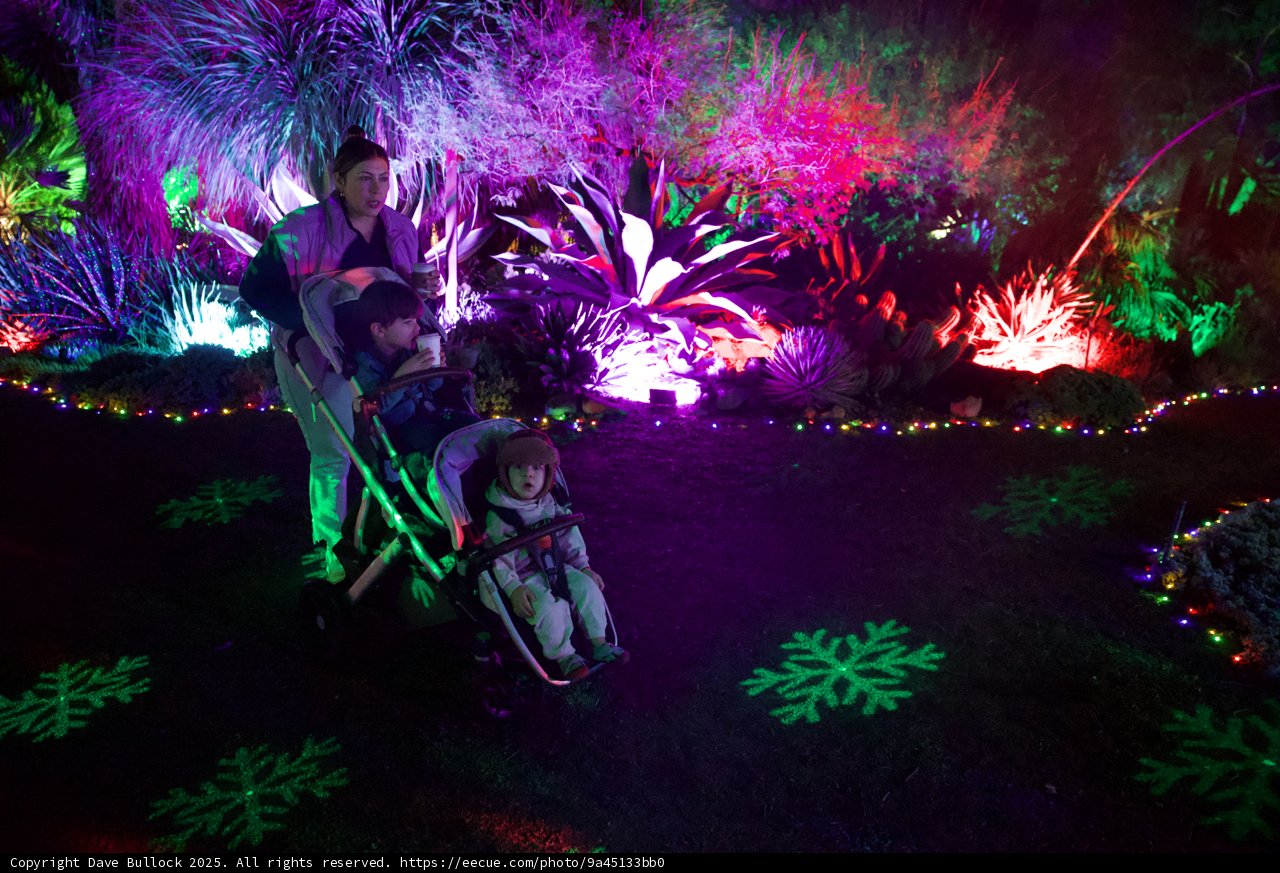 Enchanted Evening at Garden of D’Lights