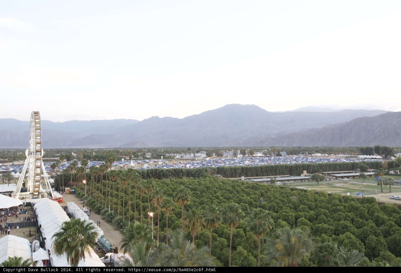 Serene View of Palm Trees and Mountains