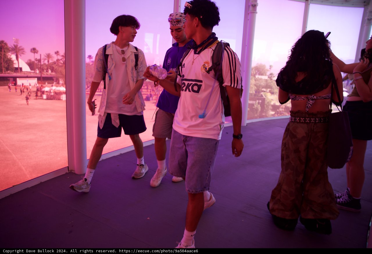 Sunny Vibes at Coachella 2024