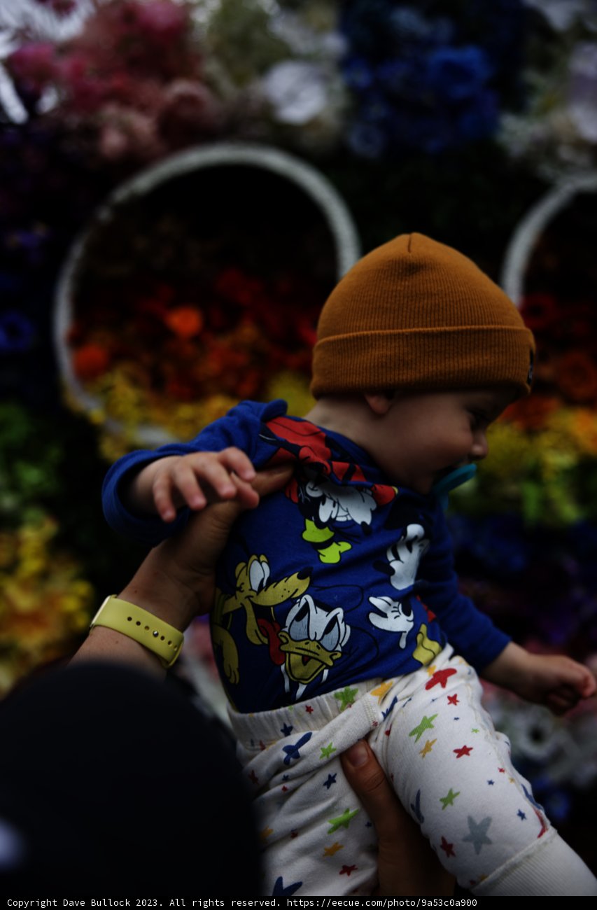 Blooming Cuteness at Disneyland