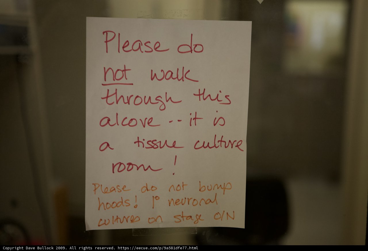 Important Notice