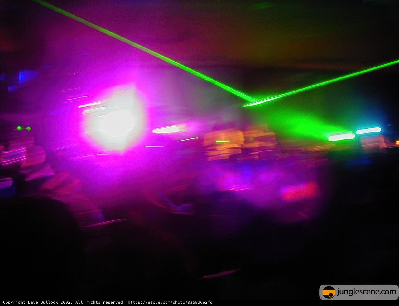 Party at the Neon Disco
