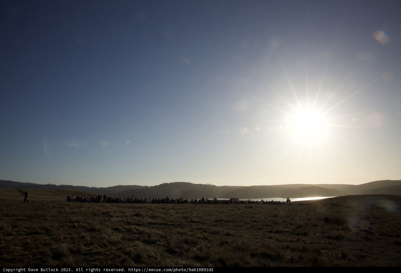 Serene Morning Gathering at Hog Island Oyster Co.