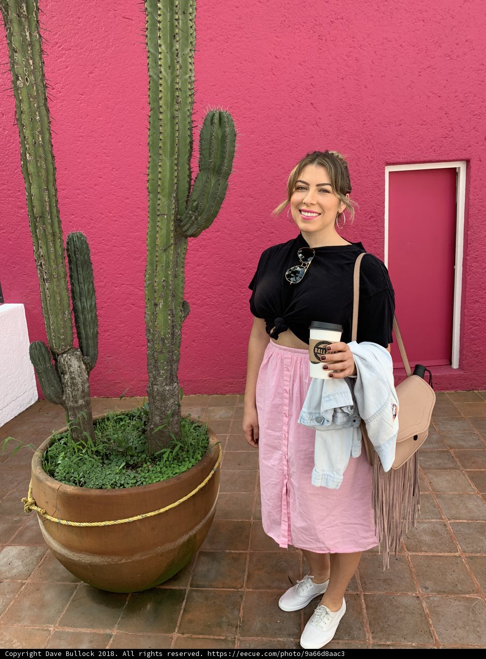 Pretty in Pink next to a Cactus