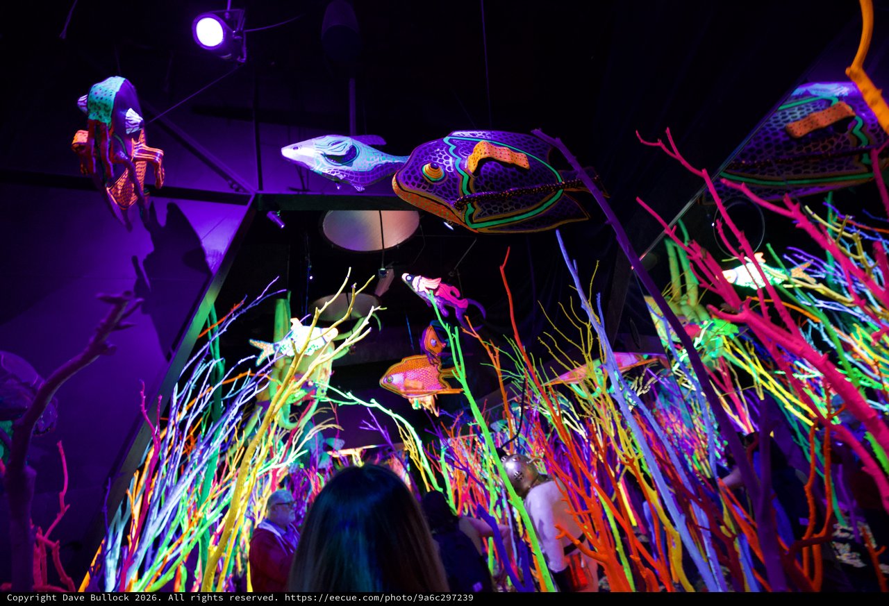 Vibrant Neon Underwater Fantasy Installation with Interactive Art