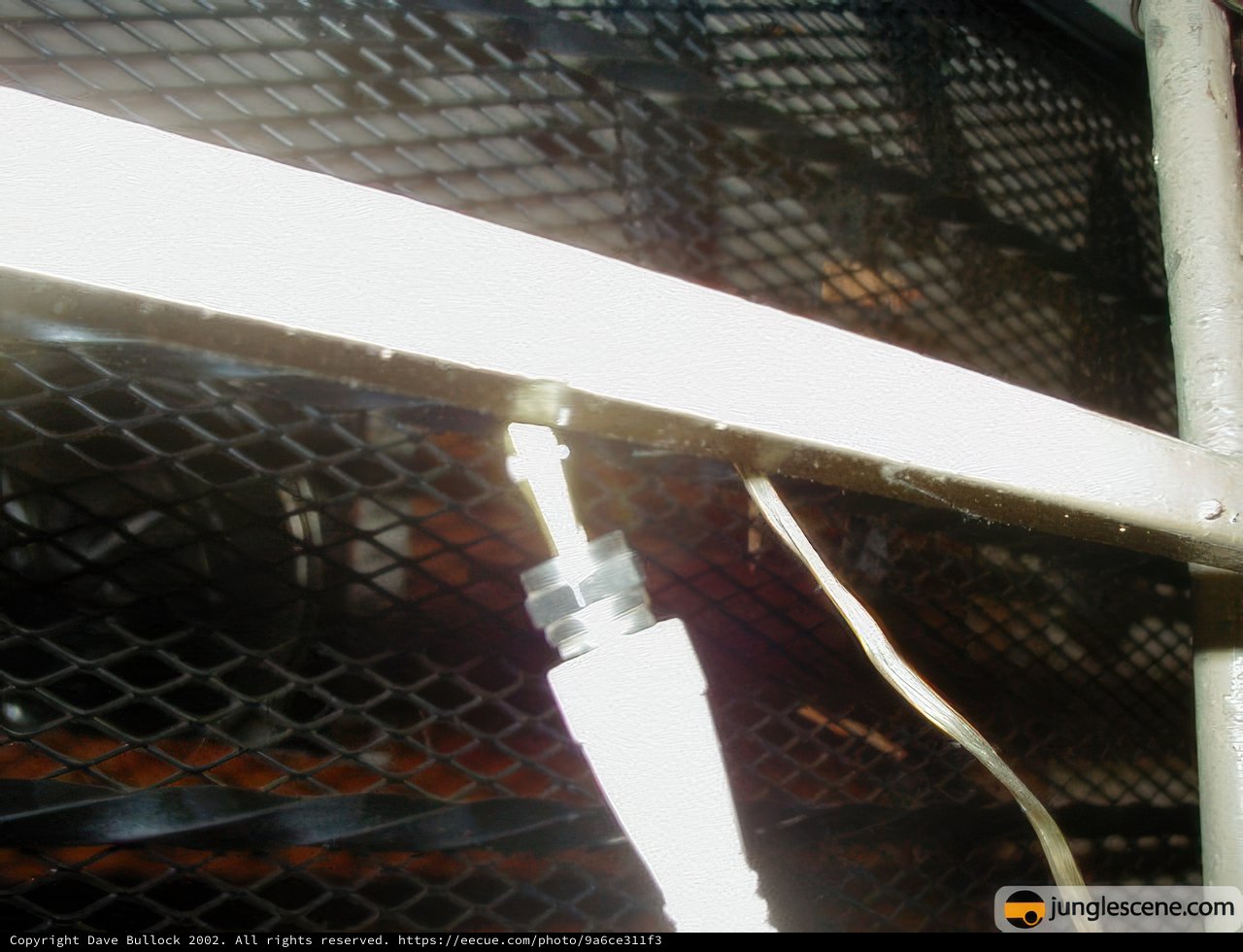 Wired Cage