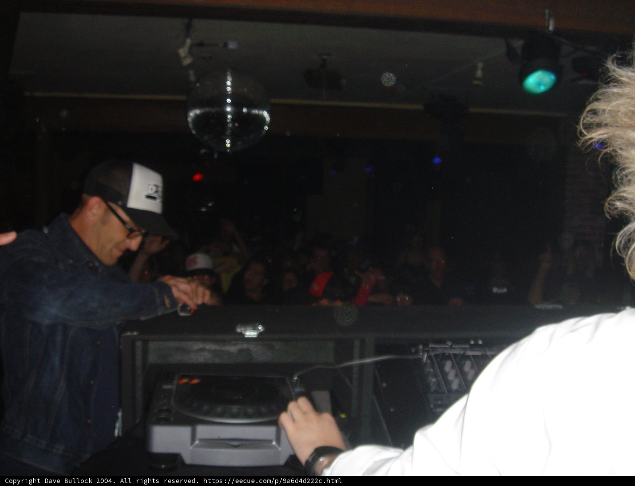 Nightlife Entertainer