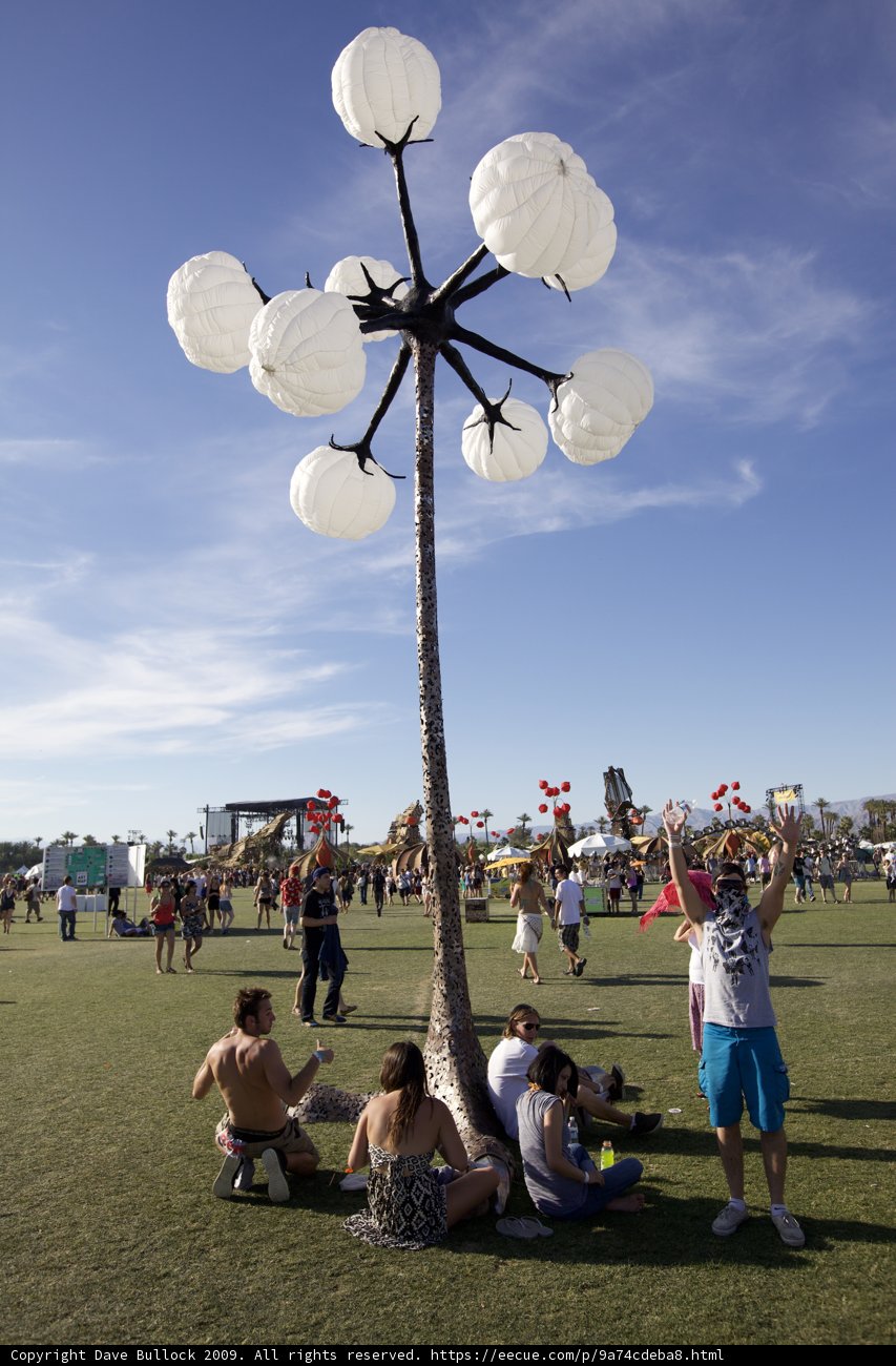 Enjoying a Picnic at Coachella